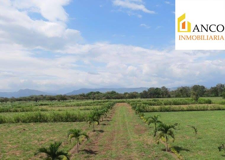 anco.inmobiliaria.g7.jpg