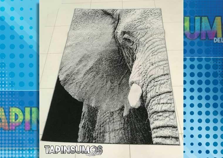 tapinsumos.g2.jpg